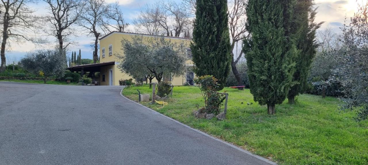 Oltre La Siepe Apartment Nepi Eksteriør billede